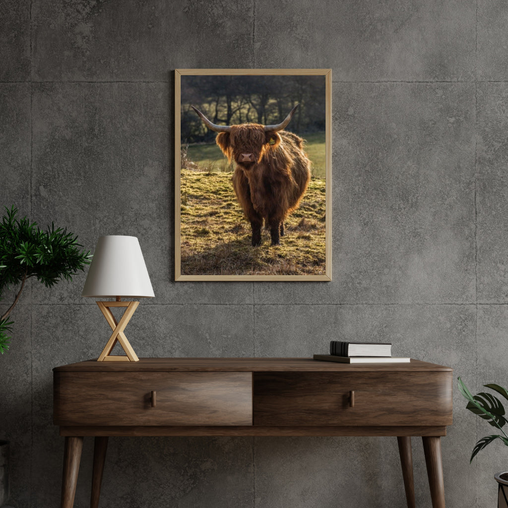 Diamond Painting Schotse hooglander - Schotse hooglander grazend in de velden - SEOS Shop ®