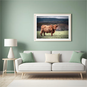 Diamond Painting Schotse hooglander - Schotse hooglander grazend op het platteland van Zuid-Wales - SEOS Shop ®