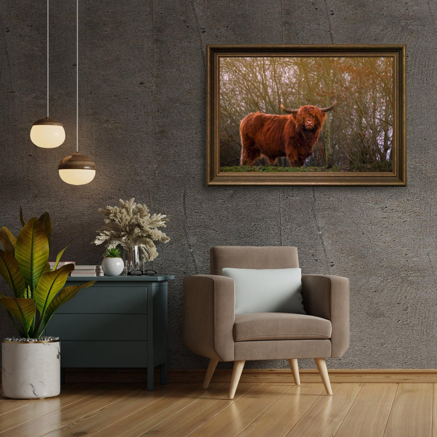 Diamond Painting Schotse hooglander - Schotse hooglander in de avondzon - SEOS Shop ®