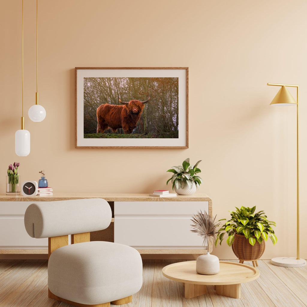 Diamond Painting Schotse hooglander - Schotse hooglander in de avondzon - SEOS Shop ®