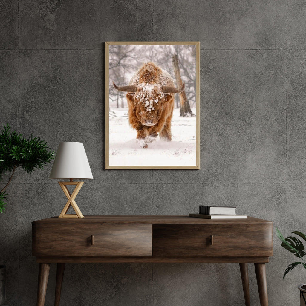 Diamond Painting Schotse hooglander - Schotse hooglander in een natuurlijk winterlandschap - SEOS Shop ®