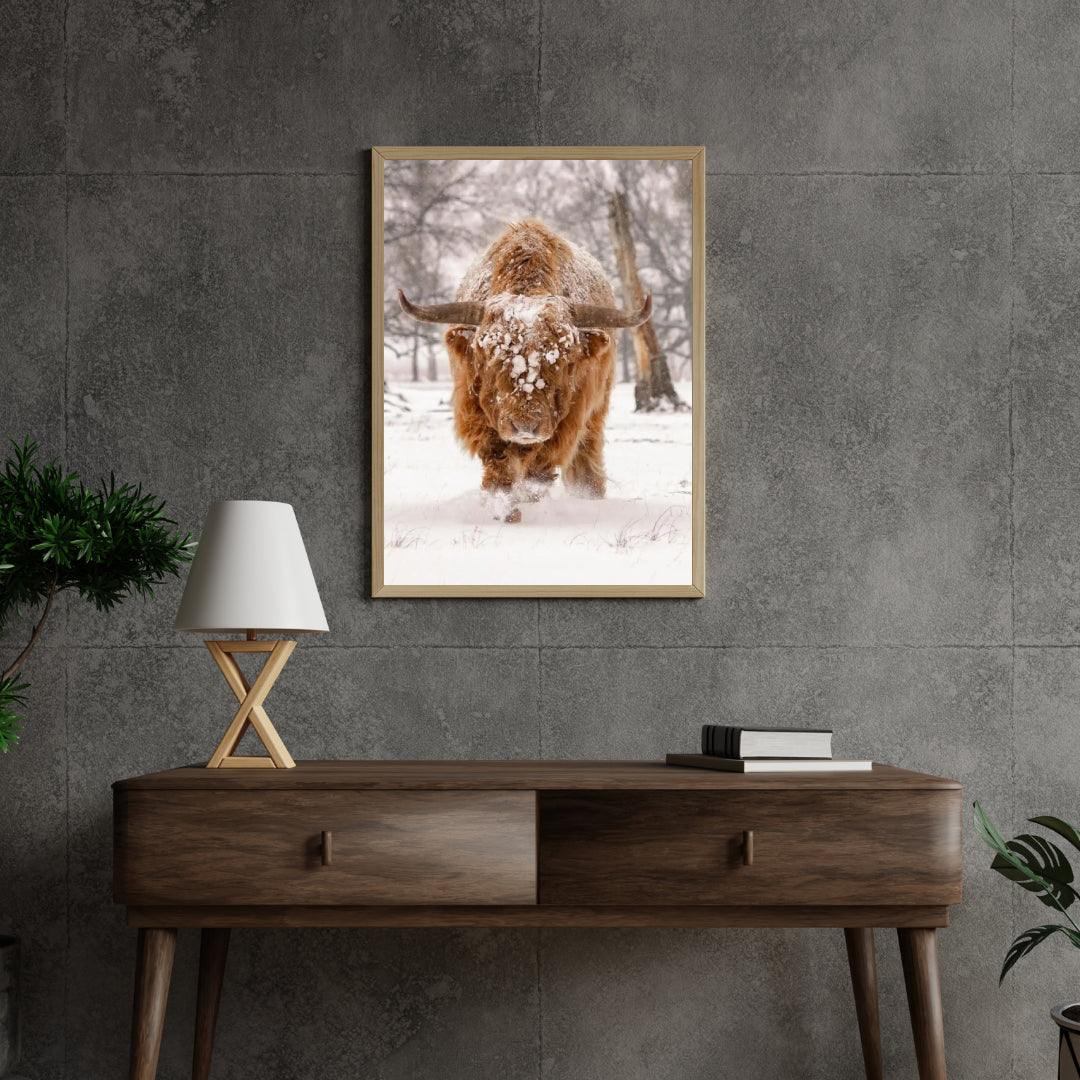 Diamond Painting Schotse hooglander - Schotse hooglander in een natuurlijk winterlandschap - SEOS Shop ®