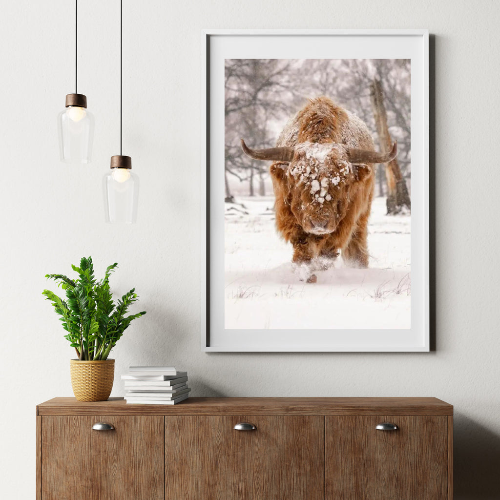 Diamond Painting Schotse hooglander - Schotse hooglander in een natuurlijk winterlandschap - SEOS Shop ®
