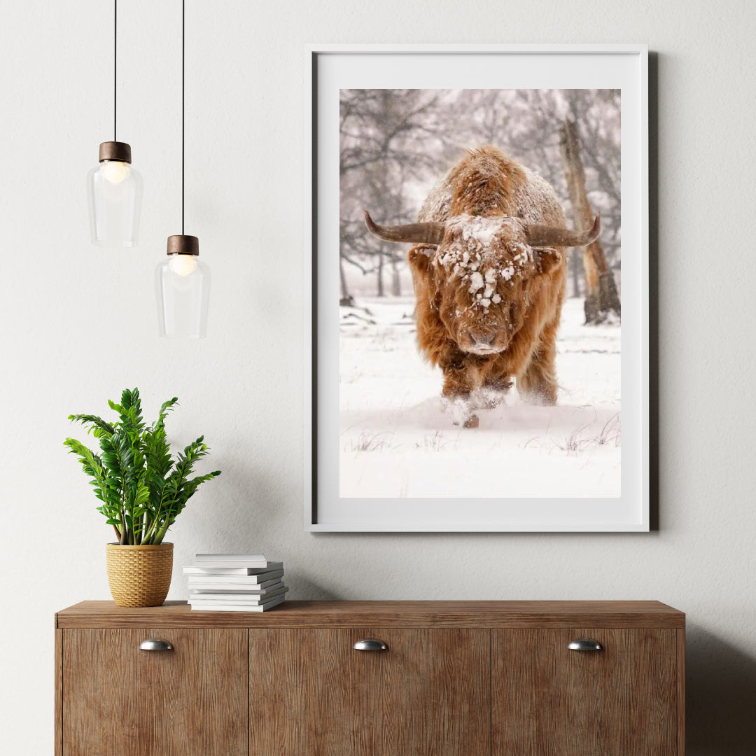 Diamond Painting Schotse hooglander - Schotse hooglander in een natuurlijk winterlandschap - SEOS Shop ®