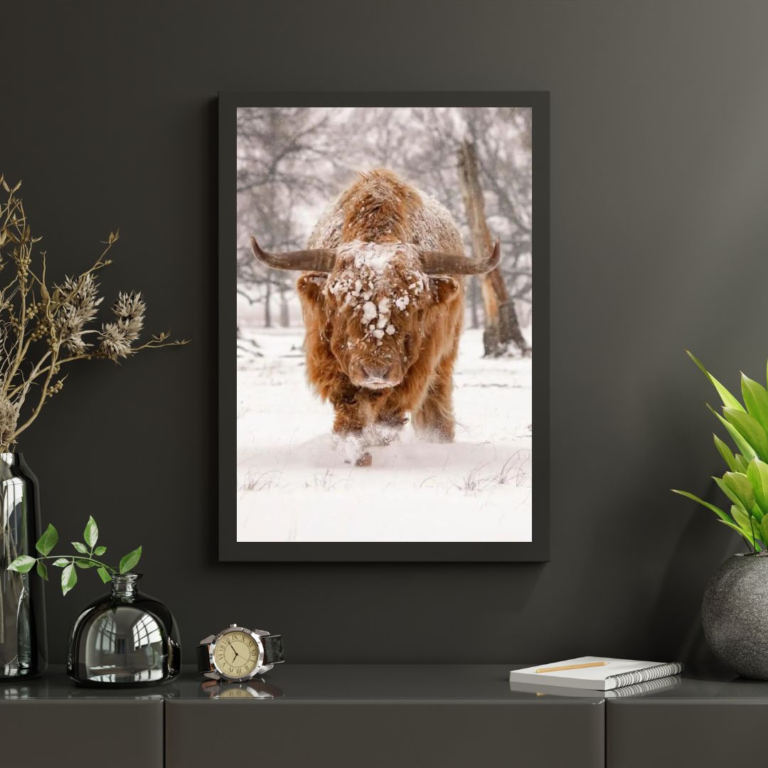 Diamond Painting Schotse hooglander - Schotse hooglander in een natuurlijk winterlandschap - SEOS Shop ®