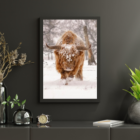 Diamond Painting Schotse hooglander - Schotse hooglander in een natuurlijk winterlandschap - SEOS Shop ®