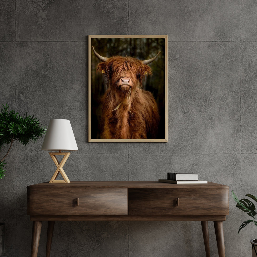 Diamond Painting Schotse hooglander - Schotse hooglander in het bos - SEOS Shop ®