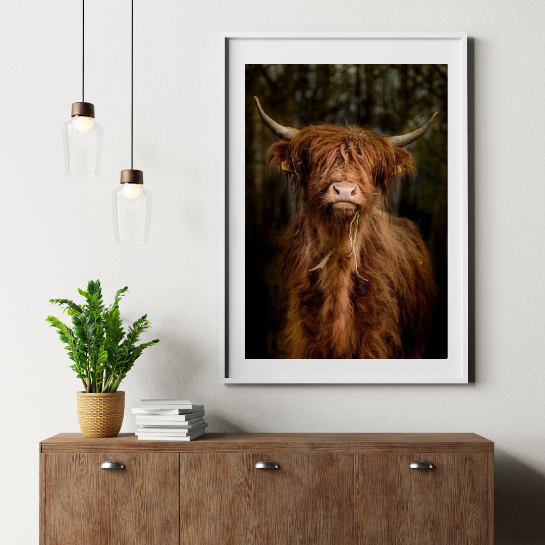 Diamond Painting Schotse hooglander - Schotse hooglander in het bos - SEOS Shop ®