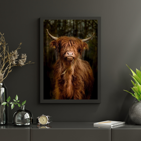 Diamond Painting Schotse hooglander - Schotse hooglander in het bos - SEOS Shop ®