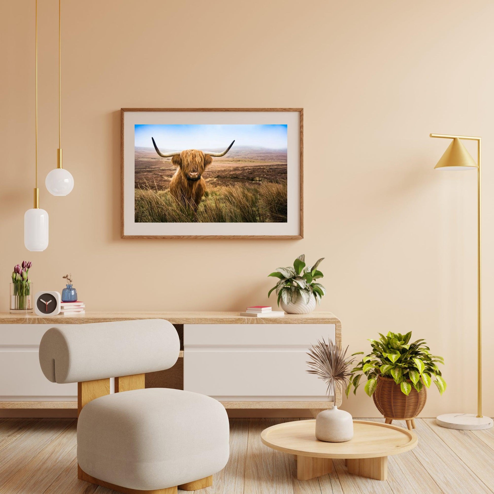 Diamond Painting Schotse hooglander - Schotse hooglander in het veld kijkend naar de camera - SEOS Shop ®