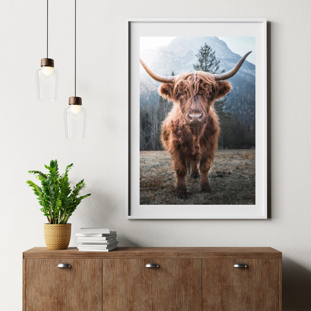 Diamond Painting Schotse hooglander - Schotse hooglander op een bevroren weide in de Italiaanse bergen - SEOS Shop ®