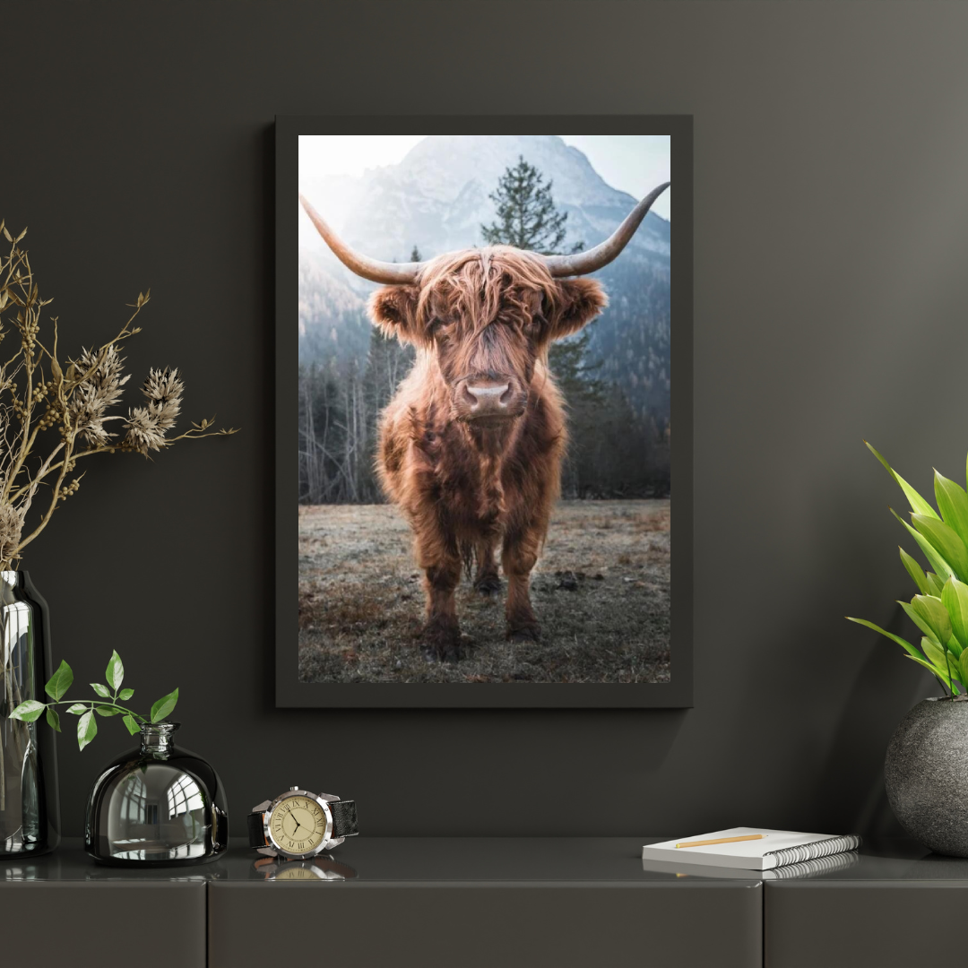 Diamond Painting Schotse hooglander - Schotse hooglander op een bevroren weide in de Italiaanse bergen - SEOS Shop ®