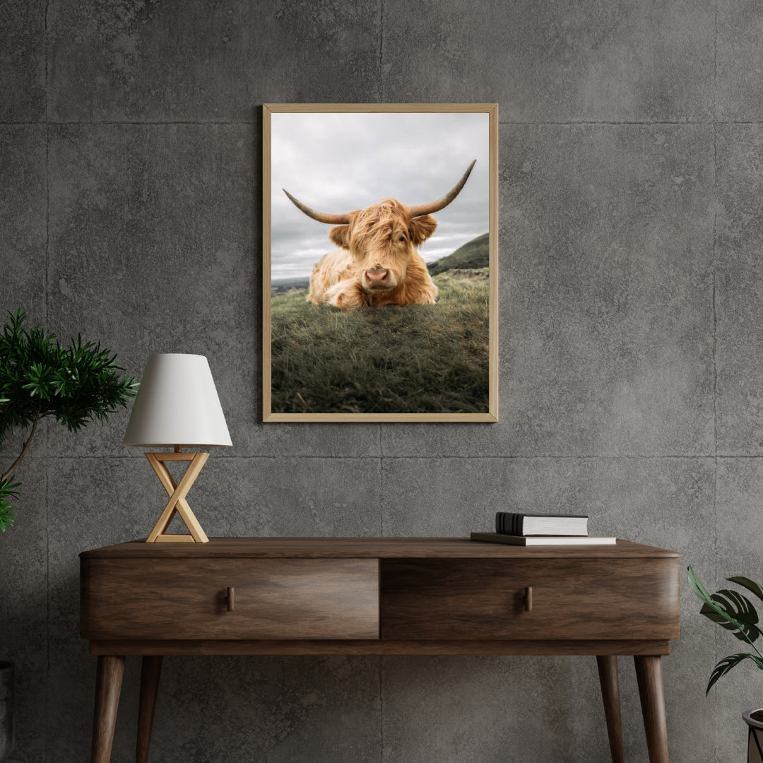 Diamond Painting Schotse hooglander - Stoere Schotse hooglander rustend op de vlakte - SEOS Shop ®