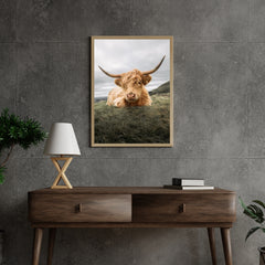 Diamond Painting Schotse hooglander - Stoere Schotse hooglander rustend op de vlakte - SEOS Shop ®