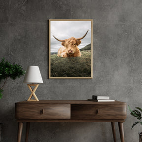 Diamond Painting Schotse hooglander - Stoere Schotse hooglander rustend op de vlakte - SEOS Shop ®