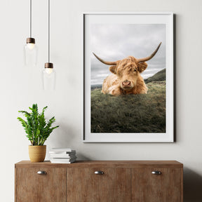 Diamond Painting Schotse hooglander - Stoere Schotse hooglander rustend op de vlakte - SEOS Shop ®