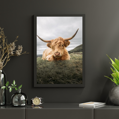 Diamond Painting Schotse hooglander - Stoere Schotse hooglander rustend op de vlakte - SEOS Shop ®