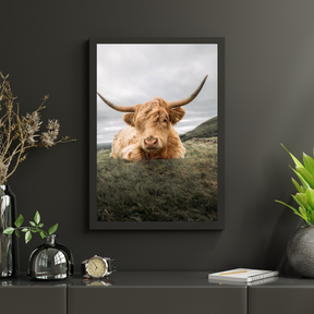 Diamond Painting Schotse hooglander - Stoere Schotse hooglander rustend op de vlakte - SEOS Shop ®