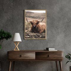 Diamond Painting Schotse hooglander - Vriendelijke Schotse hooglander rustend in het veld - SEOS Shop ®