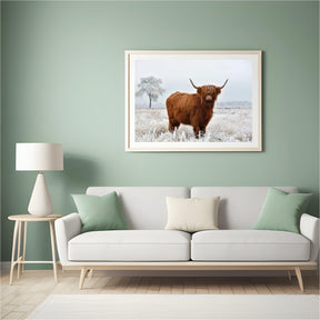 Diamond Painting Schotse hooglander - Wollige Schotse hooglander in de winterse wei - SEOS Shop ®