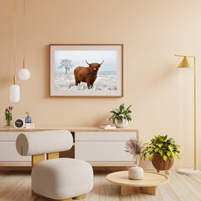 Diamond Painting Schotse hooglander - Wollige Schotse hooglander in de winterse wei - SEOS Shop ®