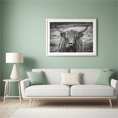 Diamond Painting Schotse hooglander - Zwart-wit beeld van Schotse hooglander - SEOS Shop ®
