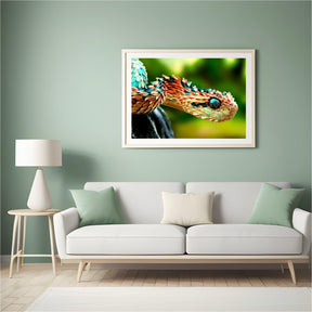 Diamond Painting Slang – SEOS Shop ®