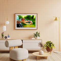 Diamond Painting Slang – SEOS Shop ®