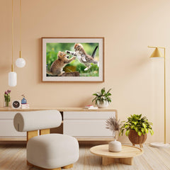 Diamond Painting Spelende kittens - SEOS Shop ®