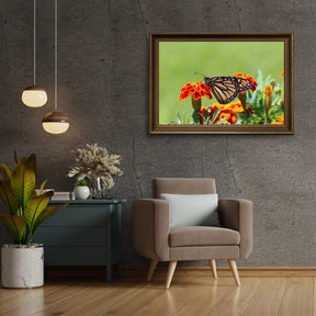 Diamond Painting Vlinder - SEOS Shop ®