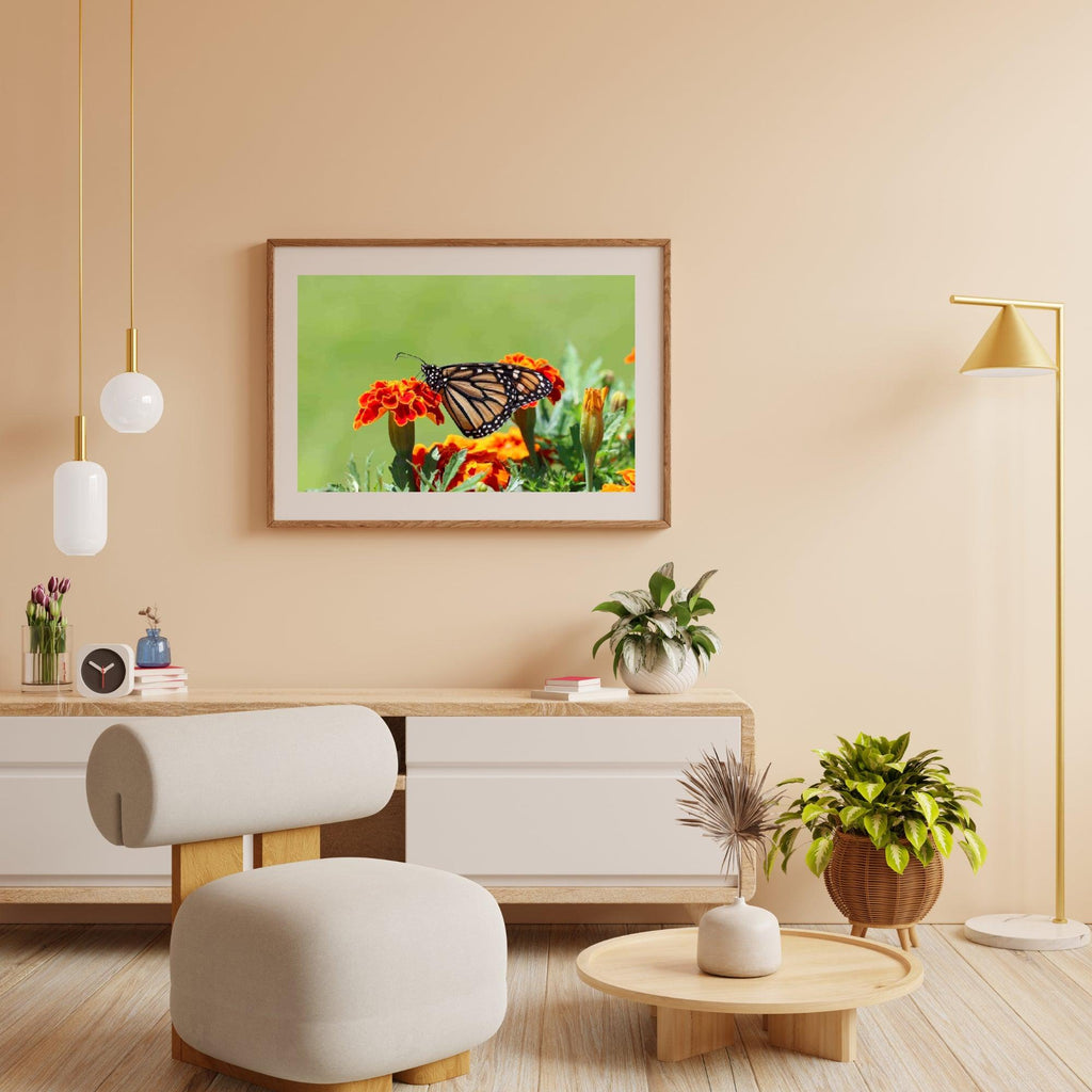 Diamond Painting Vlinder - SEOS Shop ®