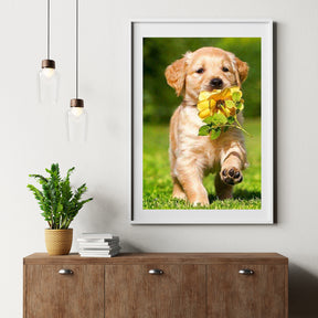 Diamond painting Labrador puppy met een bloem - Volledig - SEOS Shop®