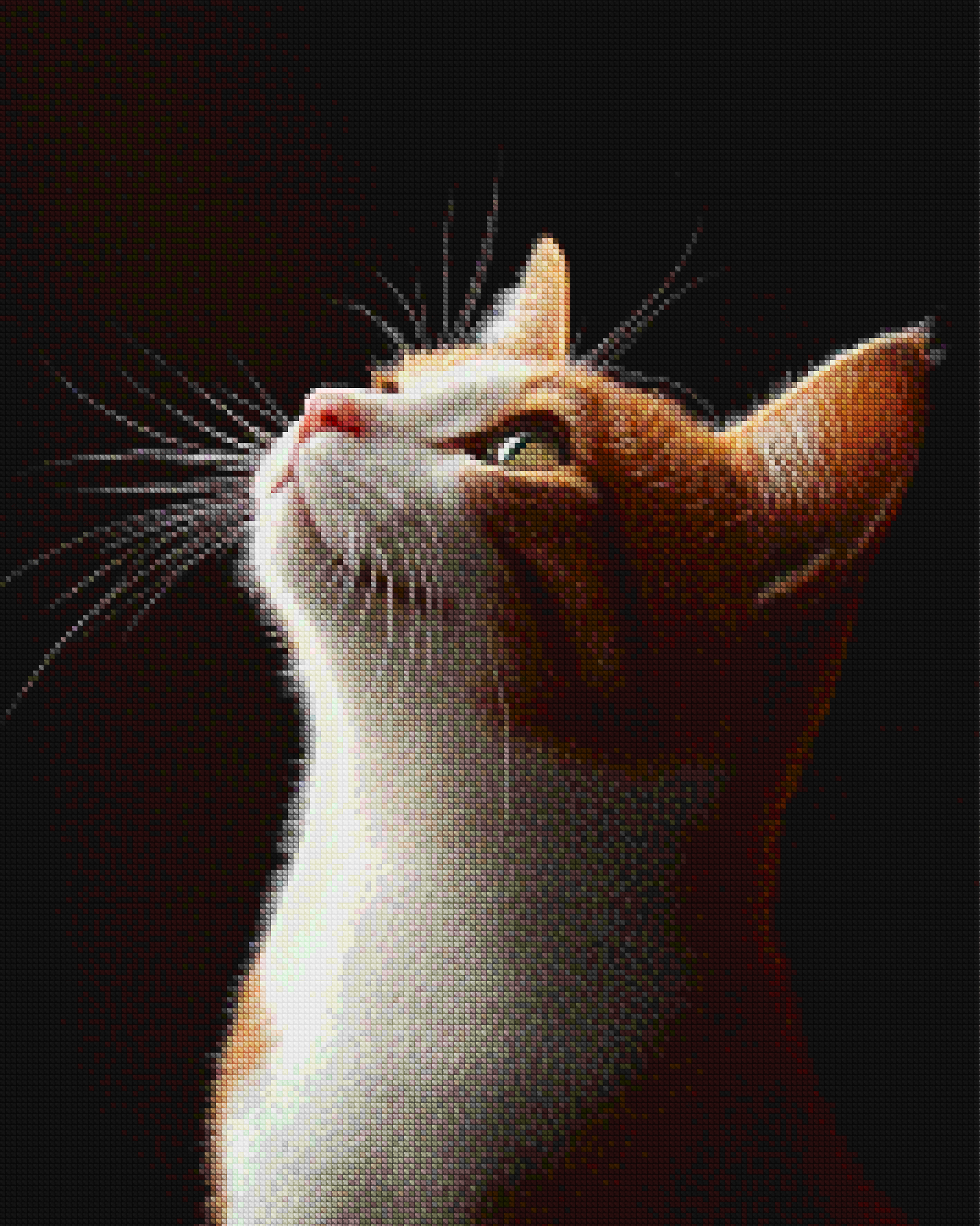 Diamond Painting -  Gazing Feline