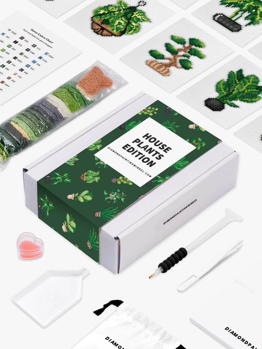 Mini Meesterwerken - Huisplanten (Set van 12)