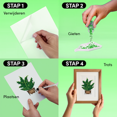 Mini Meesterwerken - Huisplanten (Set van 12)