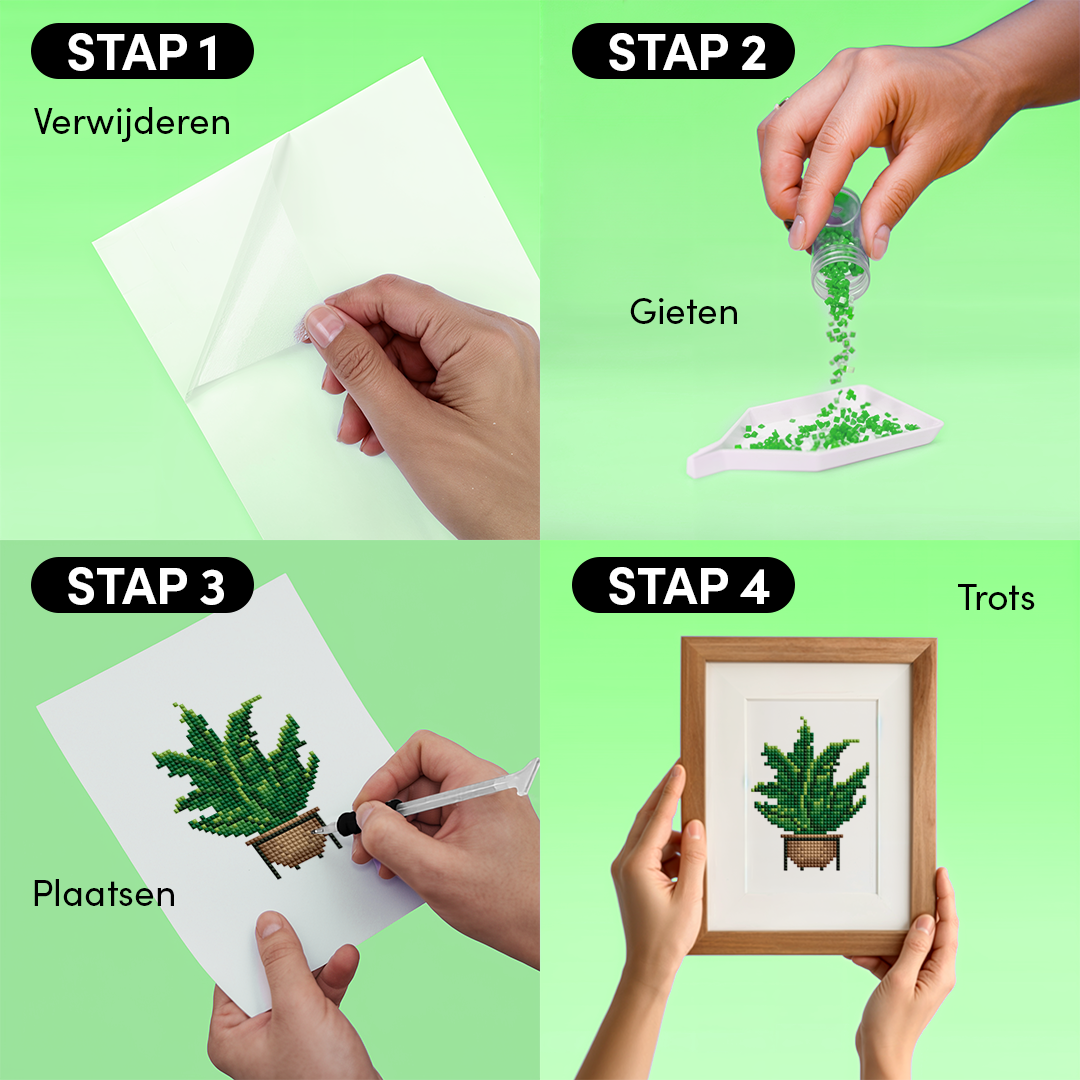 Mini Meesterwerken - Huisplanten (Set van 12)