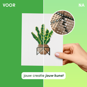 Mini Meesterwerken - Huisplanten (Set van 12)