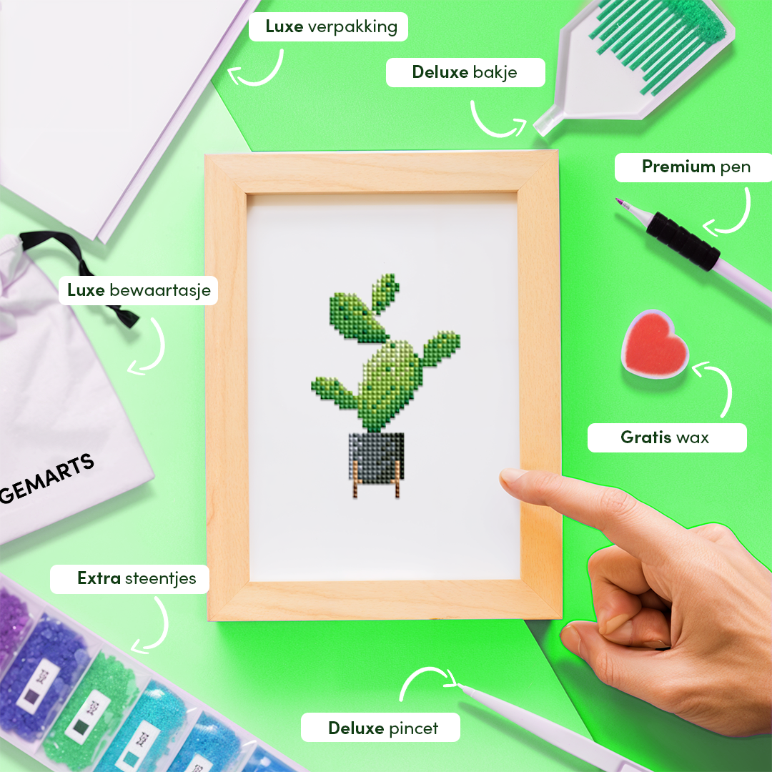 Mini Meesterwerken - Huisplanten (Set van 12)