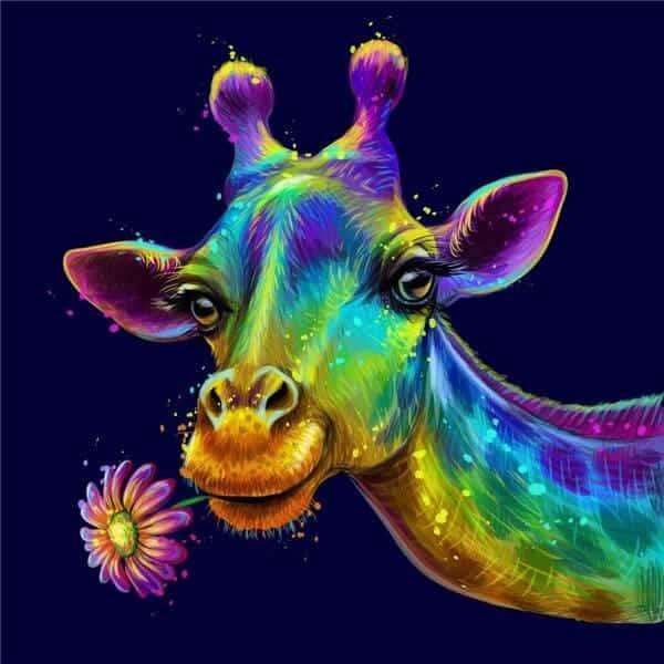 Diamond Painting Kleurrijke Giraffe – productbeeld 2