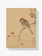 Diamond Painting - Vogel op een stille tak