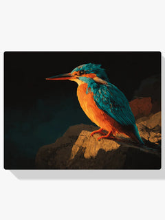 Diamond Painting - IJsvogel op Rots in Avondgloed