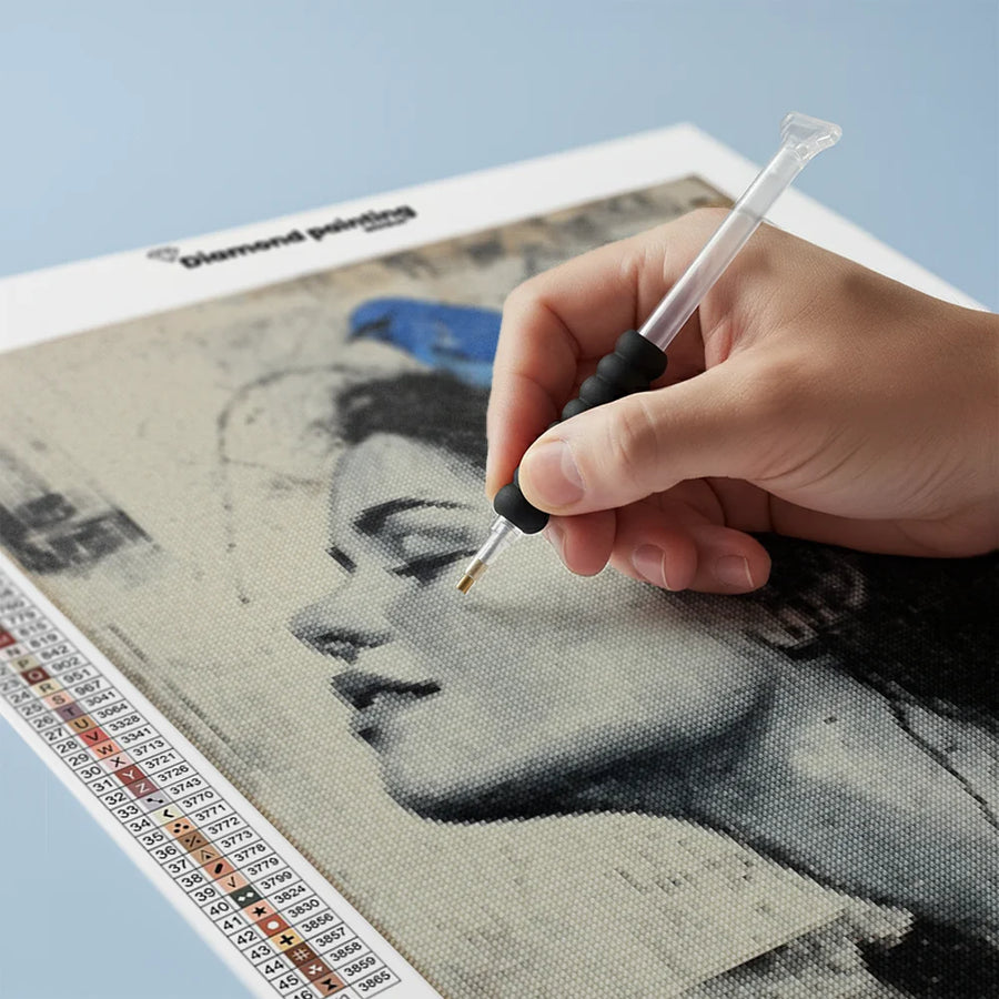 Diamond Painting - Wegtrekkende luchten