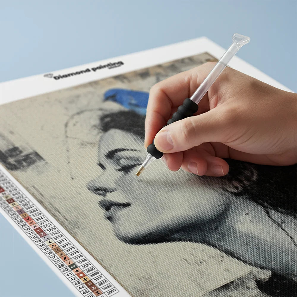 Diamond Painting - Wegtrekkende luchten