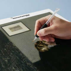 Diamond Painting - Whistlers moeder met kat