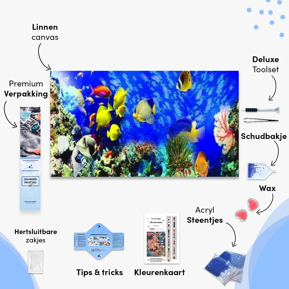 Mooie vissen | Groot Formaat - Seos SHOP