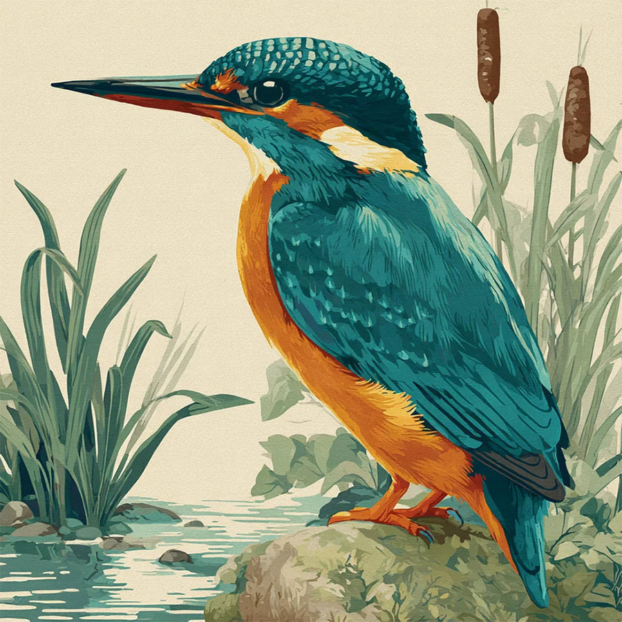 Diamond Painting - IJsvogel uit het Natuurhistorisch Kabinet
