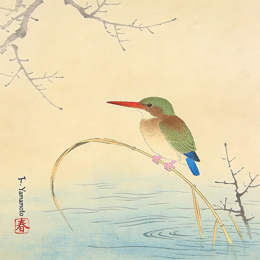 Diamond Painting - IJsvogel aan de oever