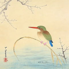Diamond Painting - IJsvogel aan de oever
