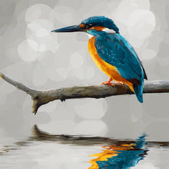 Diamond Painting - IJsvogel – Perfecte Ochtendreflectie