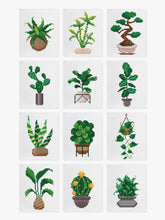 Mini Meesterwerken - Huisplanten 2.0 (Set van 12)